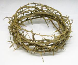 6-crown-of-thorns