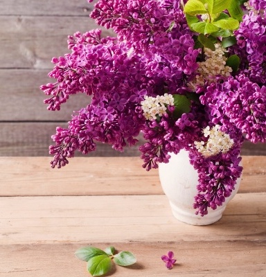 vase-lilac-flowers-1280x1024